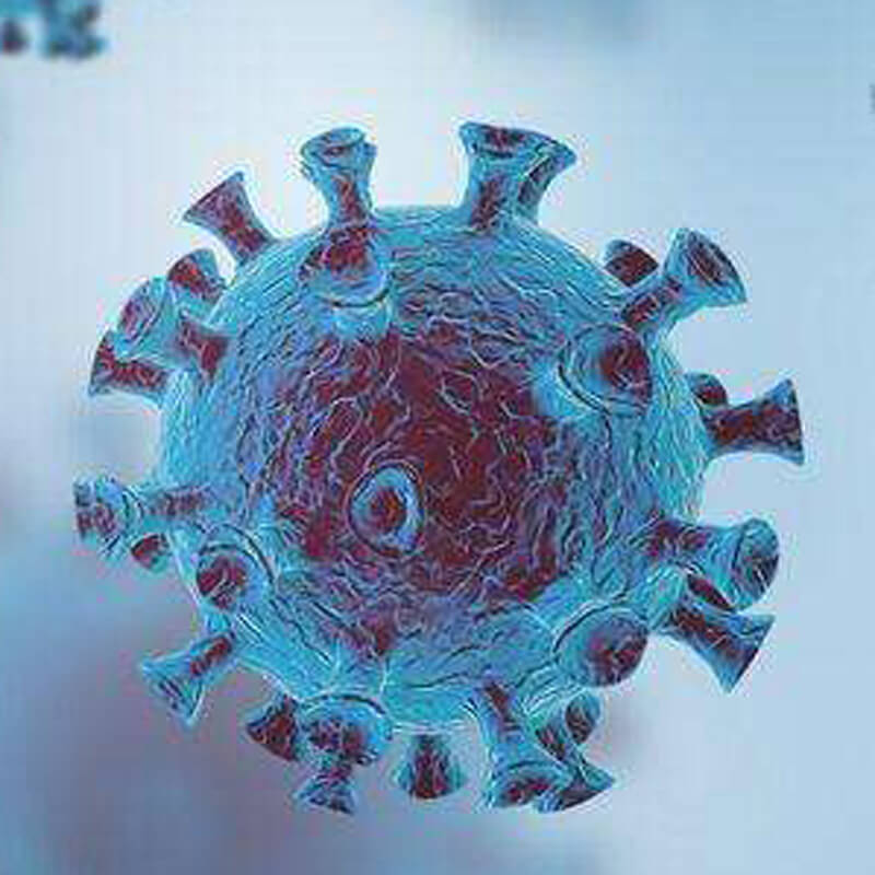 新型冠状病毒N蛋白抗体